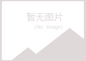 白山江源代真化学有限公司